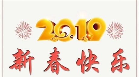 广东真正工程检测有限公司祝大家新春快乐,猪年鸿运